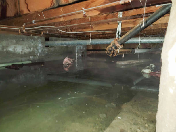 Best Local water damage restoration  in Wesley Hills, NY