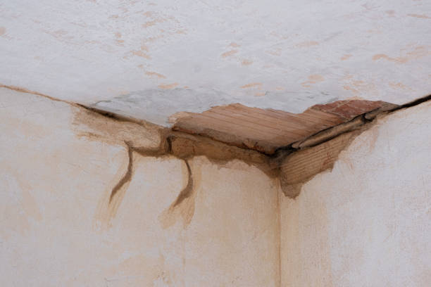 Best Water damage restoration near me  in Wesley Hills, NY