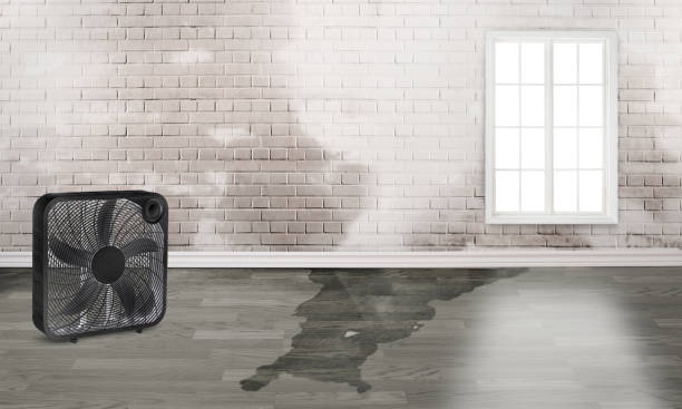 Water damage restoration insurance claims in NY