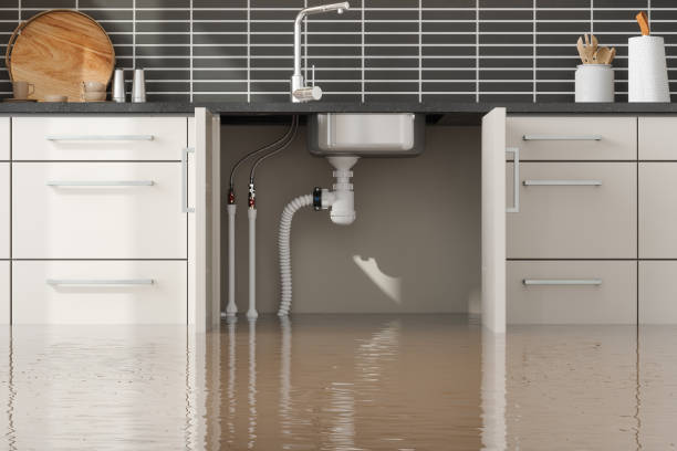  Wesley Hills, NY Water damage restoration Pros
